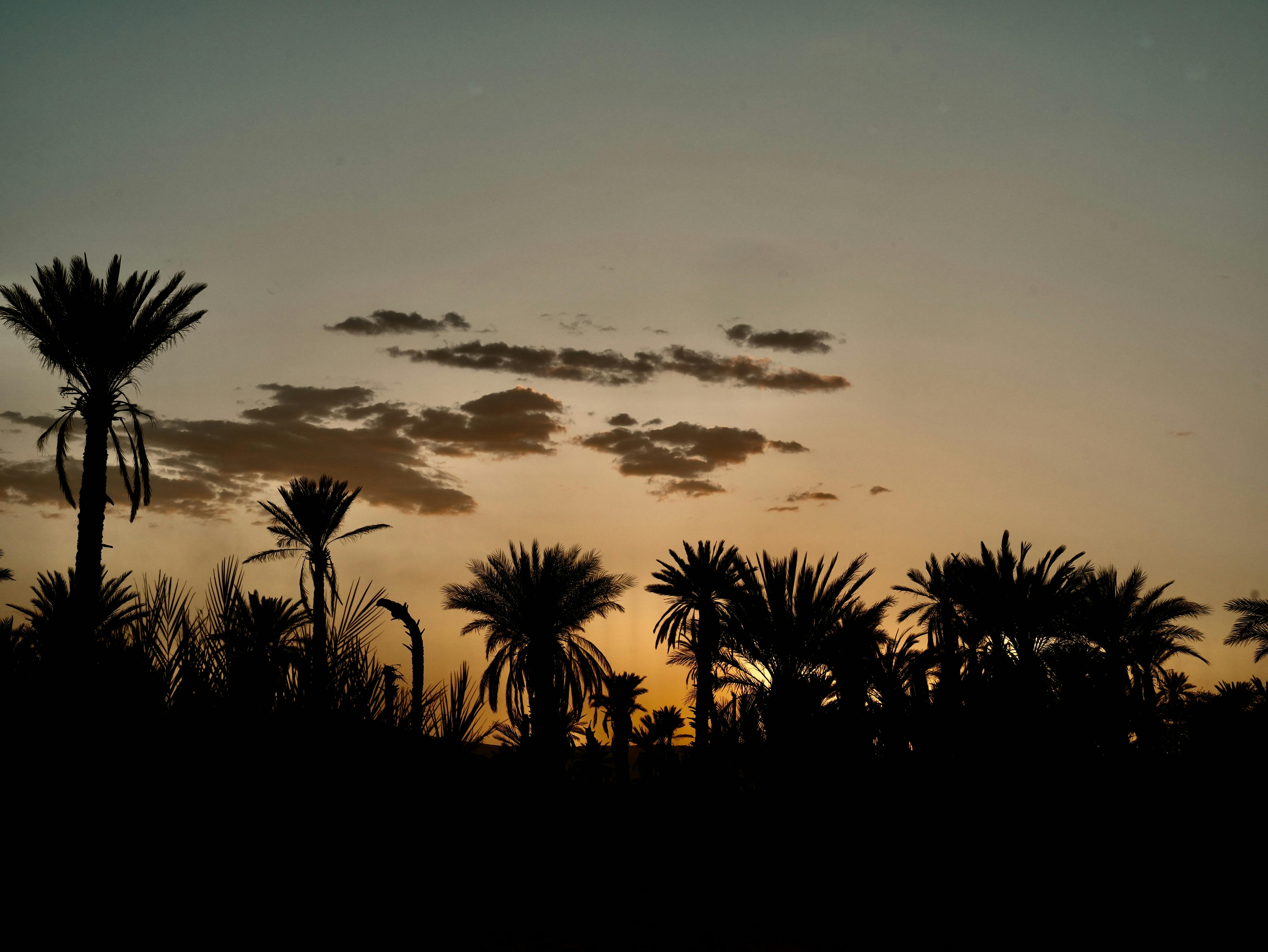 L'univers Bohème Collection à Marrakech
